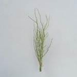 Boltze Twiggy - Decoratieve Takken Donkergroen