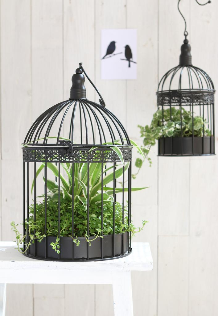 Ideas 4 Seasons Vogelkooi zwart M