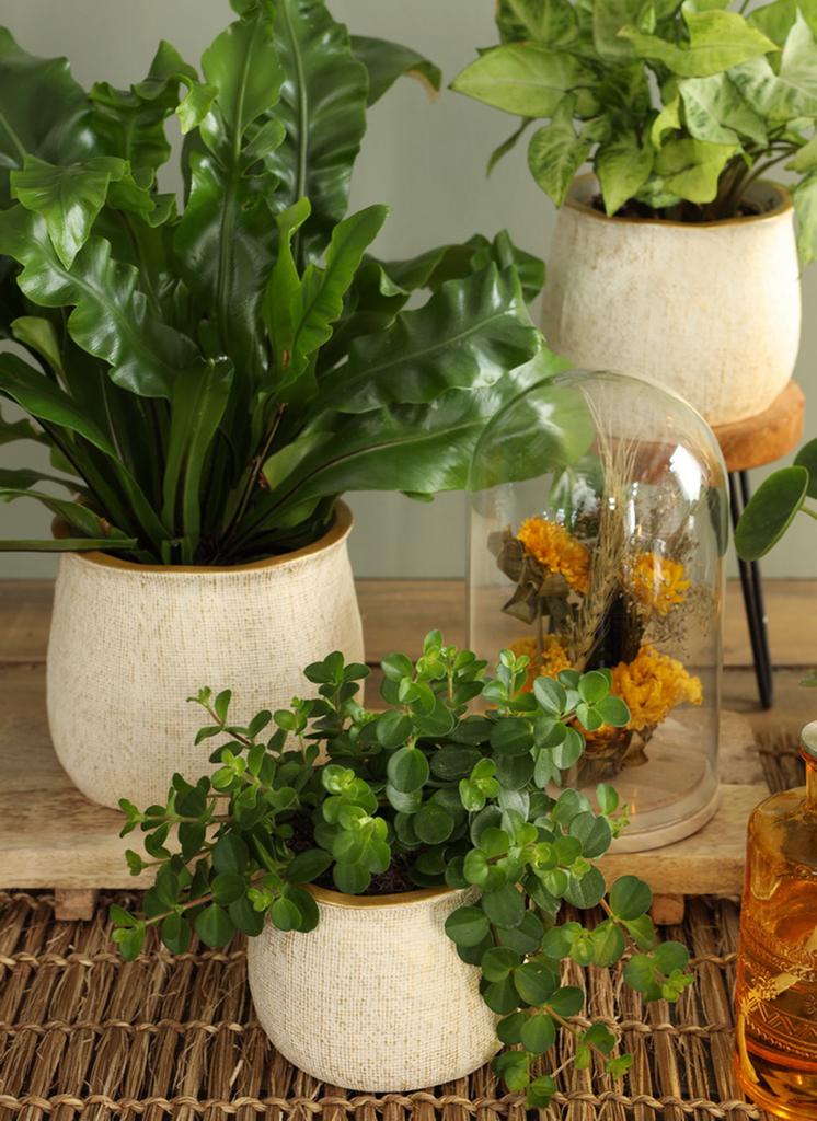 Ideas 4 Seasons-Pot Duke Goud Ø13,5 x 11 cm