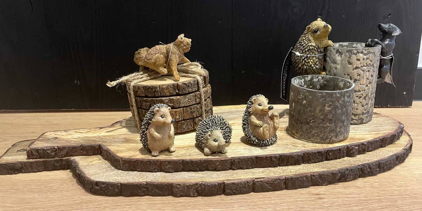 Coaster hout Pakje van 4 stuks