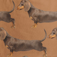 James Brown T-shirt+Short kids Limited Edition