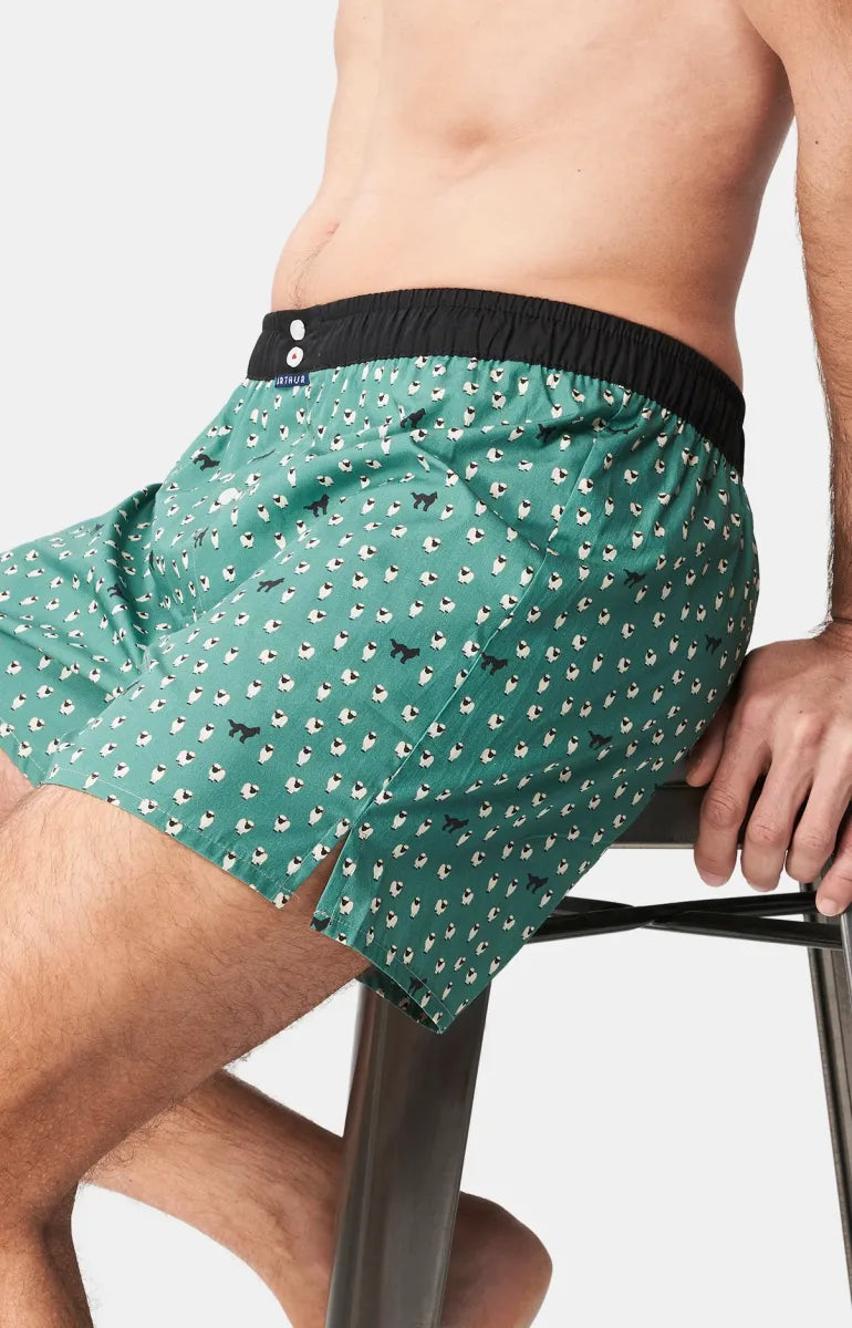 Arthur- Calecon Slip Heren Groen met schapen