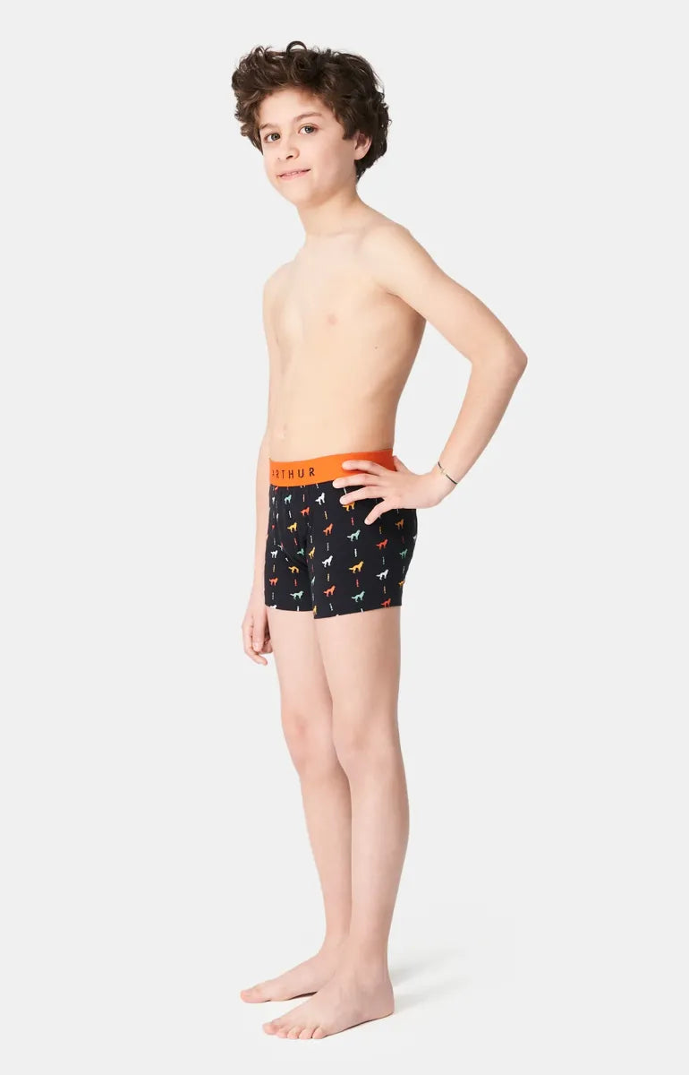 Arthur- Boxershort Jongens-Wolven