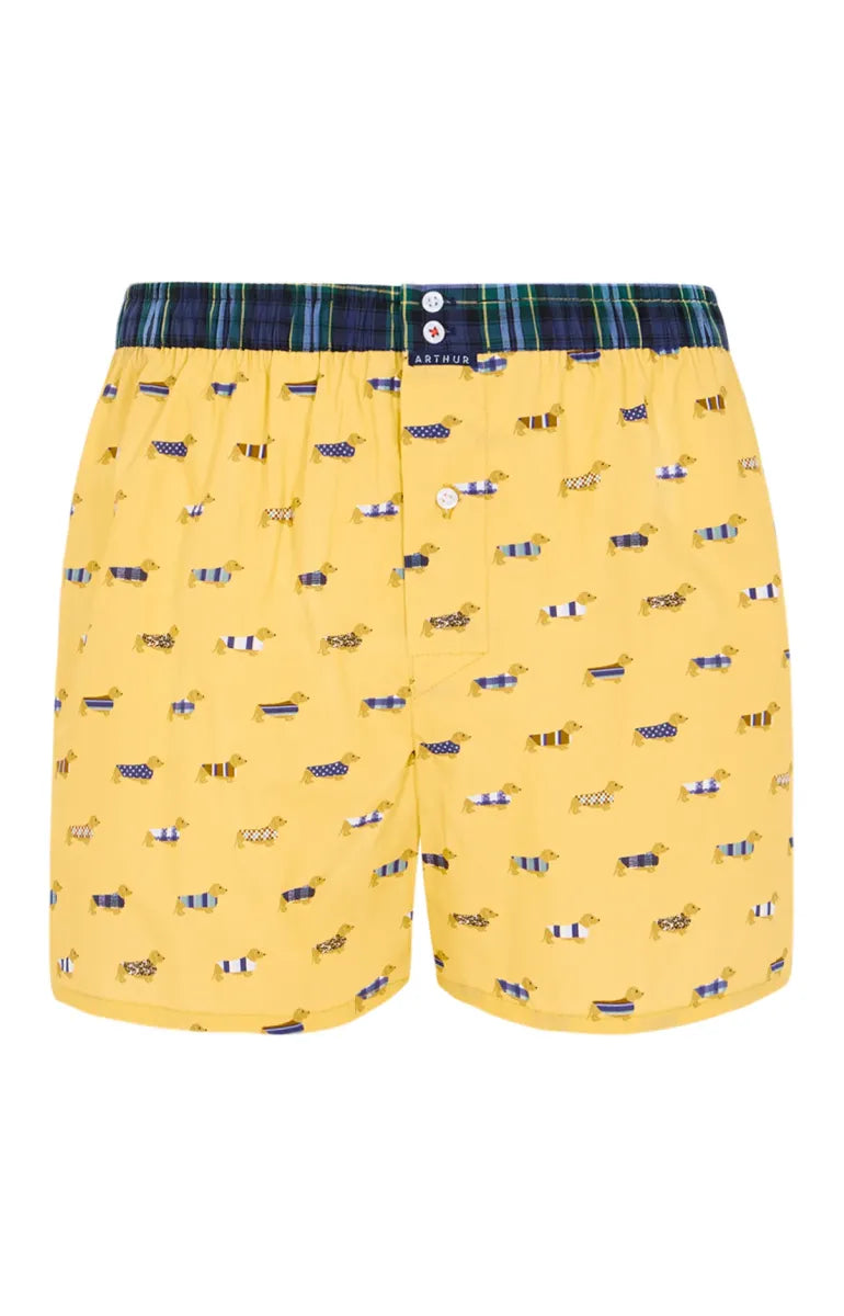 Arthur- Calecon Slip Heren Geel Teckel