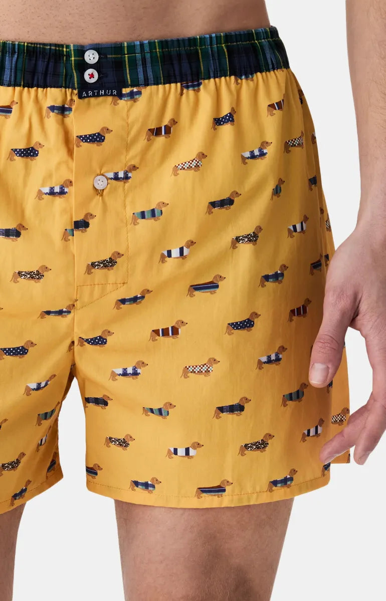 Arthur- Calecon Slip Heren Geel Teckel