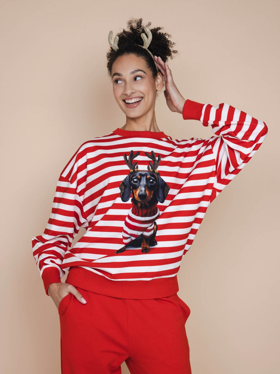 Pierre Xmas Relaxed Sweater Unisex