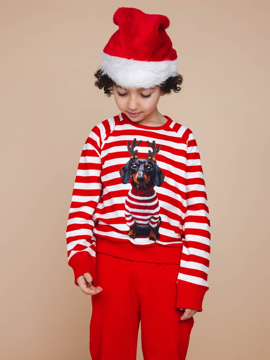 Pierre Xmas Sweater Unisex Kids