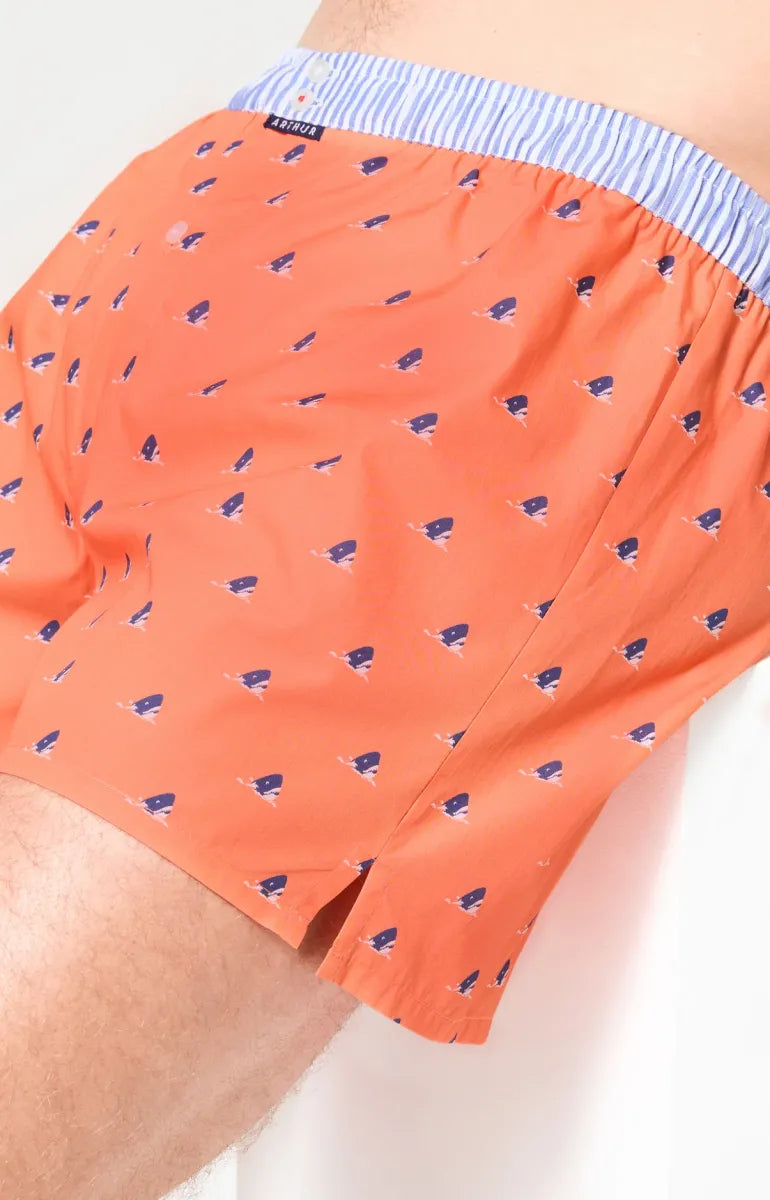 Arthur- Calecon Slip Heren Oranje Haai