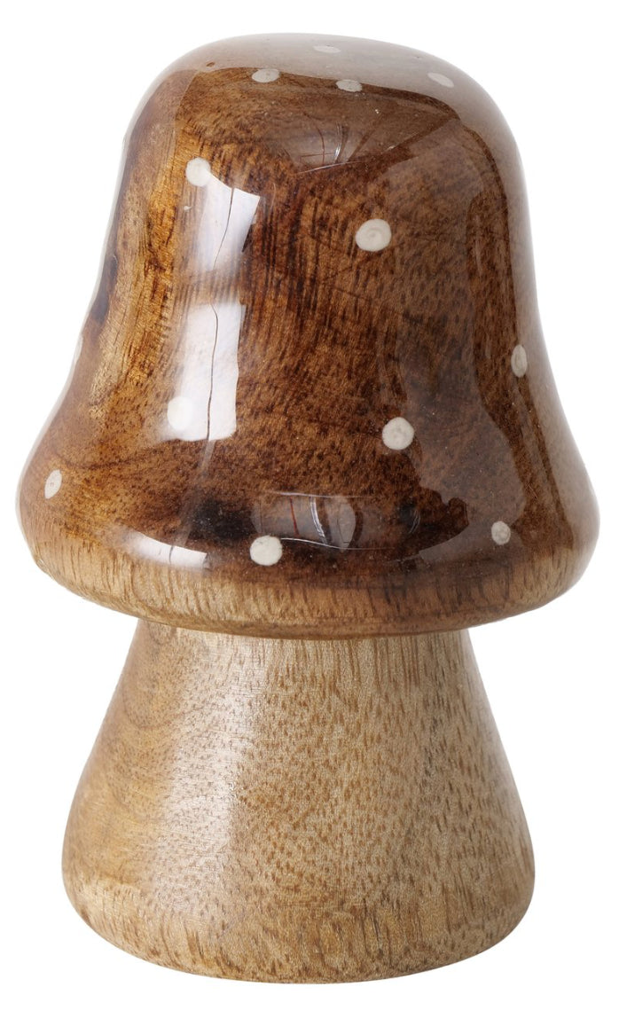 Boltze- Paddestoel Clozzy H7 cm