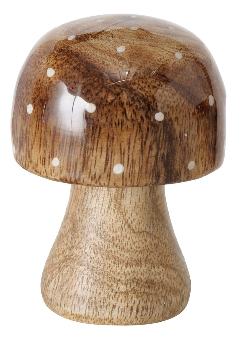 Boltze- Paddestoel Clozzy H7 cm