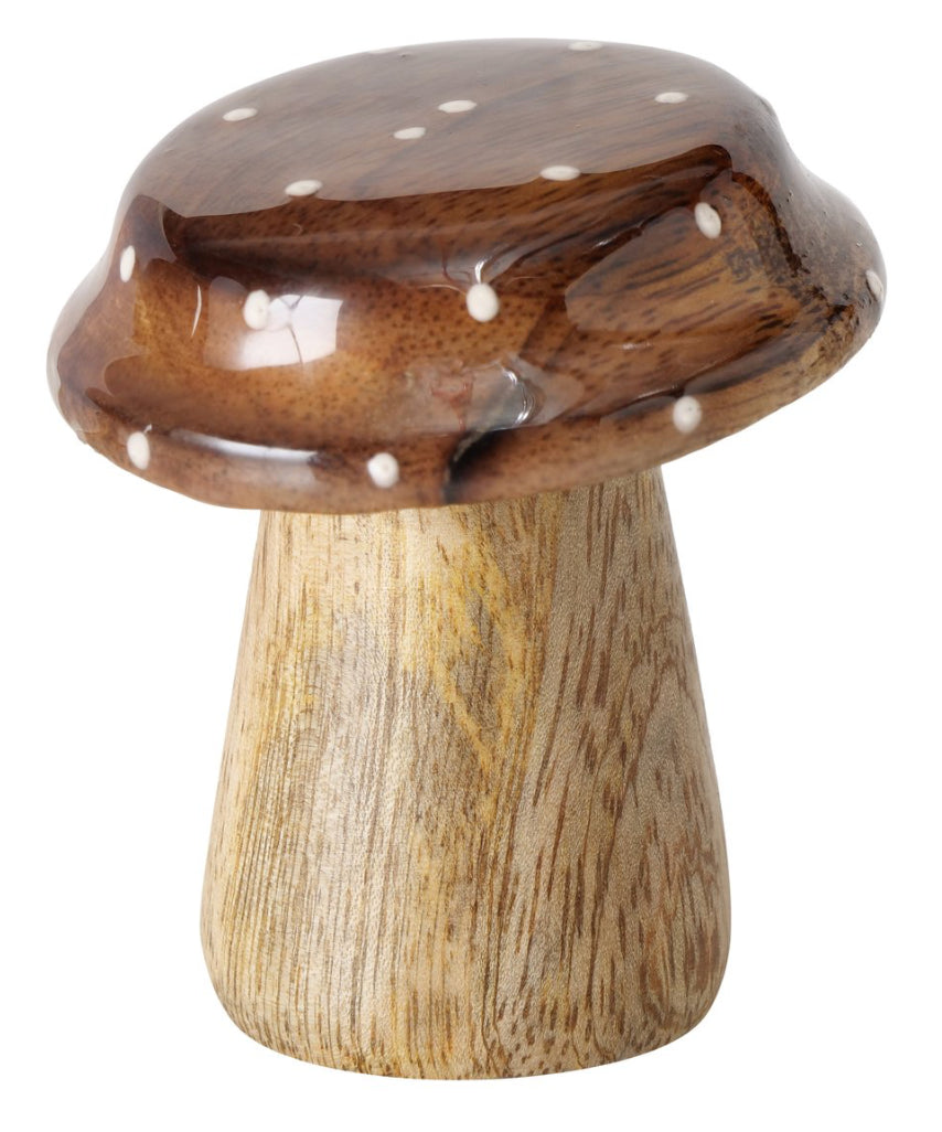 Boltze- Paddestoel Clozzy H7 cm