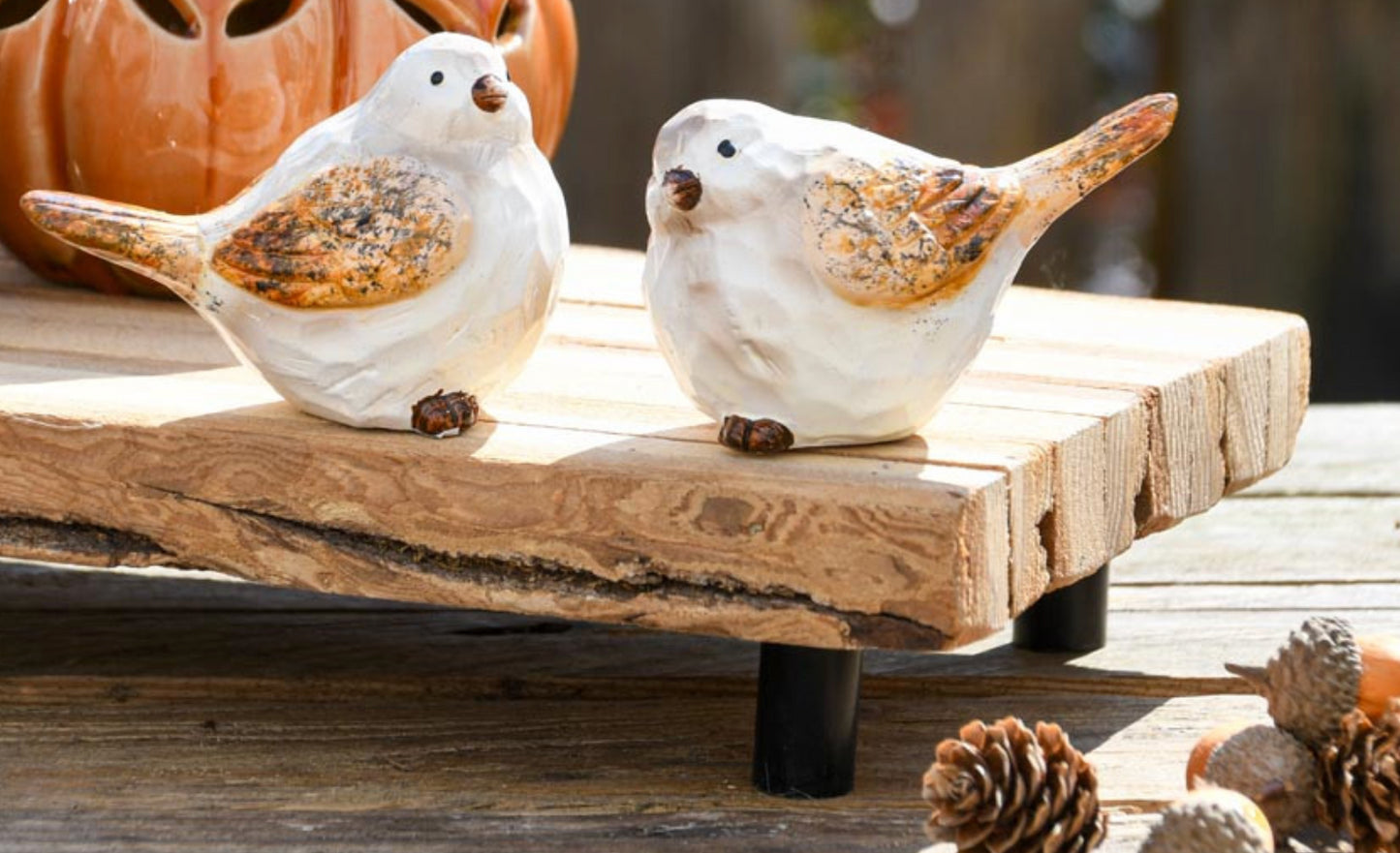 Dekoratief- Vogel Lenny set van 2
