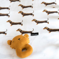 JAMES BABY LEDIKANT LAKEN SET