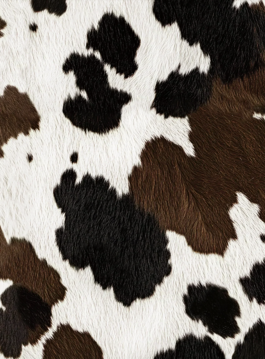 Cow Jurkje korte mouwen Kids