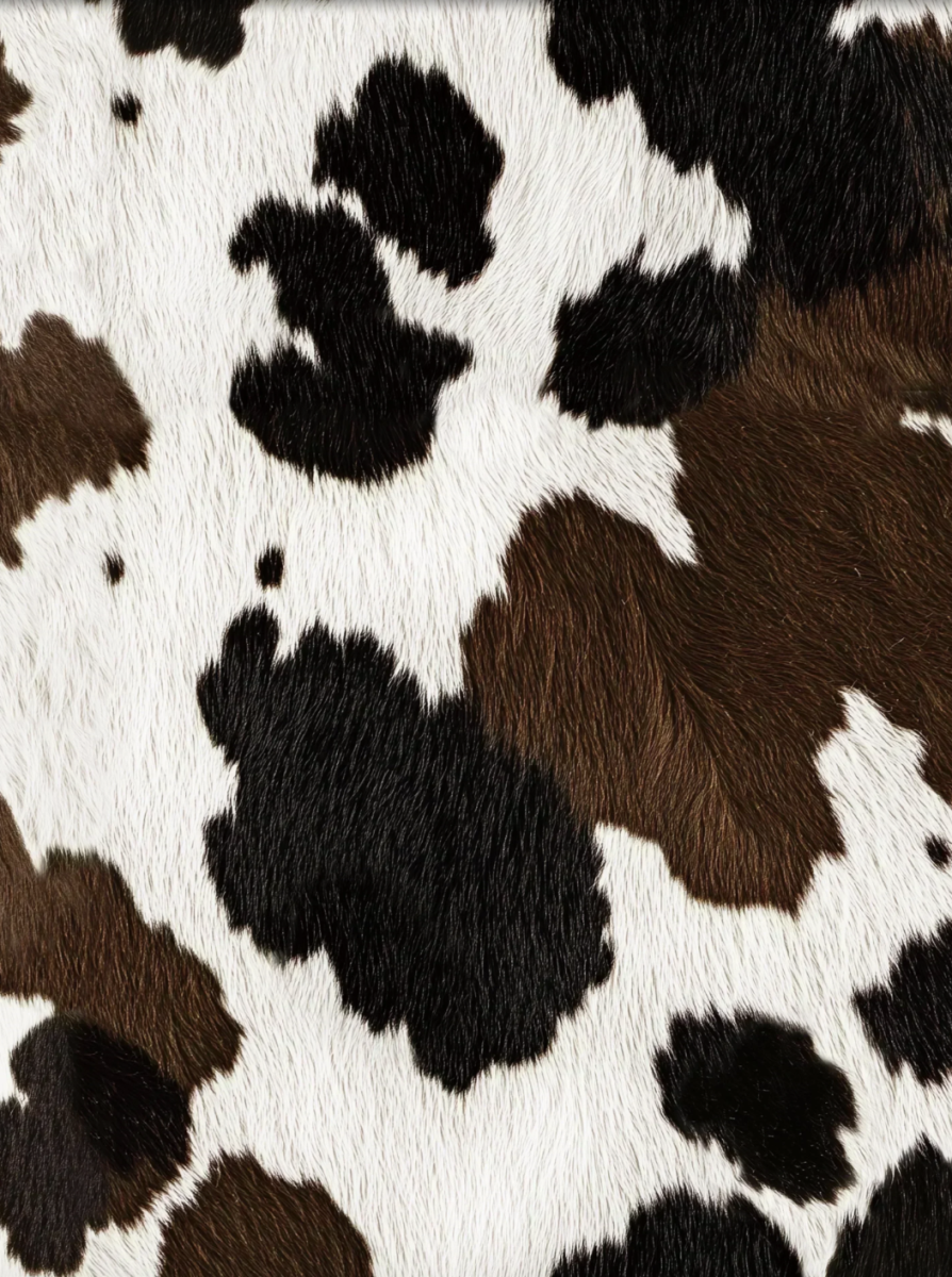 Cow T-Shirt Dress Women