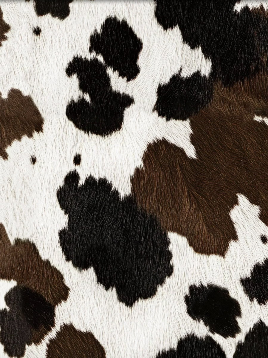 Cow T-Shirt & Korte Broek Set Kids
