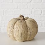 Pompoen Beige Merlo H8,5 cm