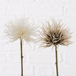 Boltze Flowers - Decoratieve Tak beige H25 cm
