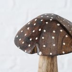 Paddestoelen Herno Mango H15-25cm set van 3