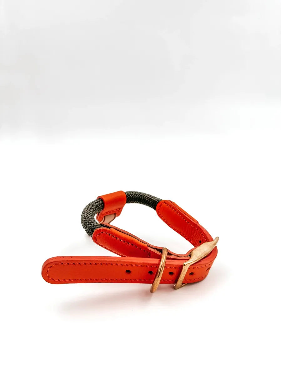 Verstelbare Halsband Hunter Small