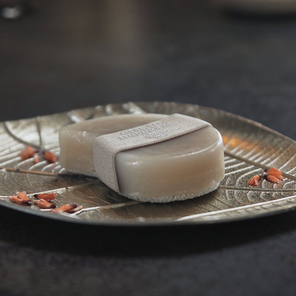 Body Wash Bar met spons- Alsjeblieft