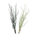 Boltze Twiggy - Decoratieve Takken Lichtgroen