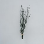 Boltze Twiggy - Decoratieve Takken Lichtgroen
