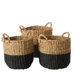 Boltze - Mand Sophian (3) SET