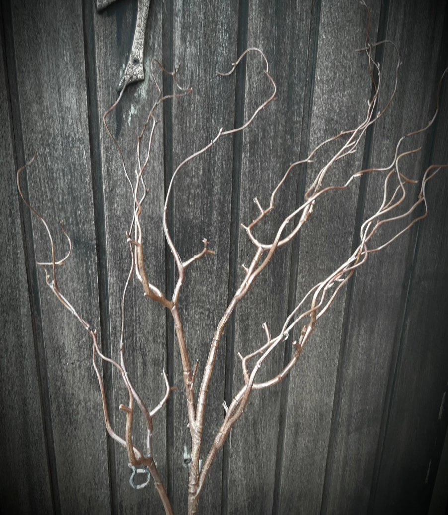 Kronkelwilg 102 cm bruin