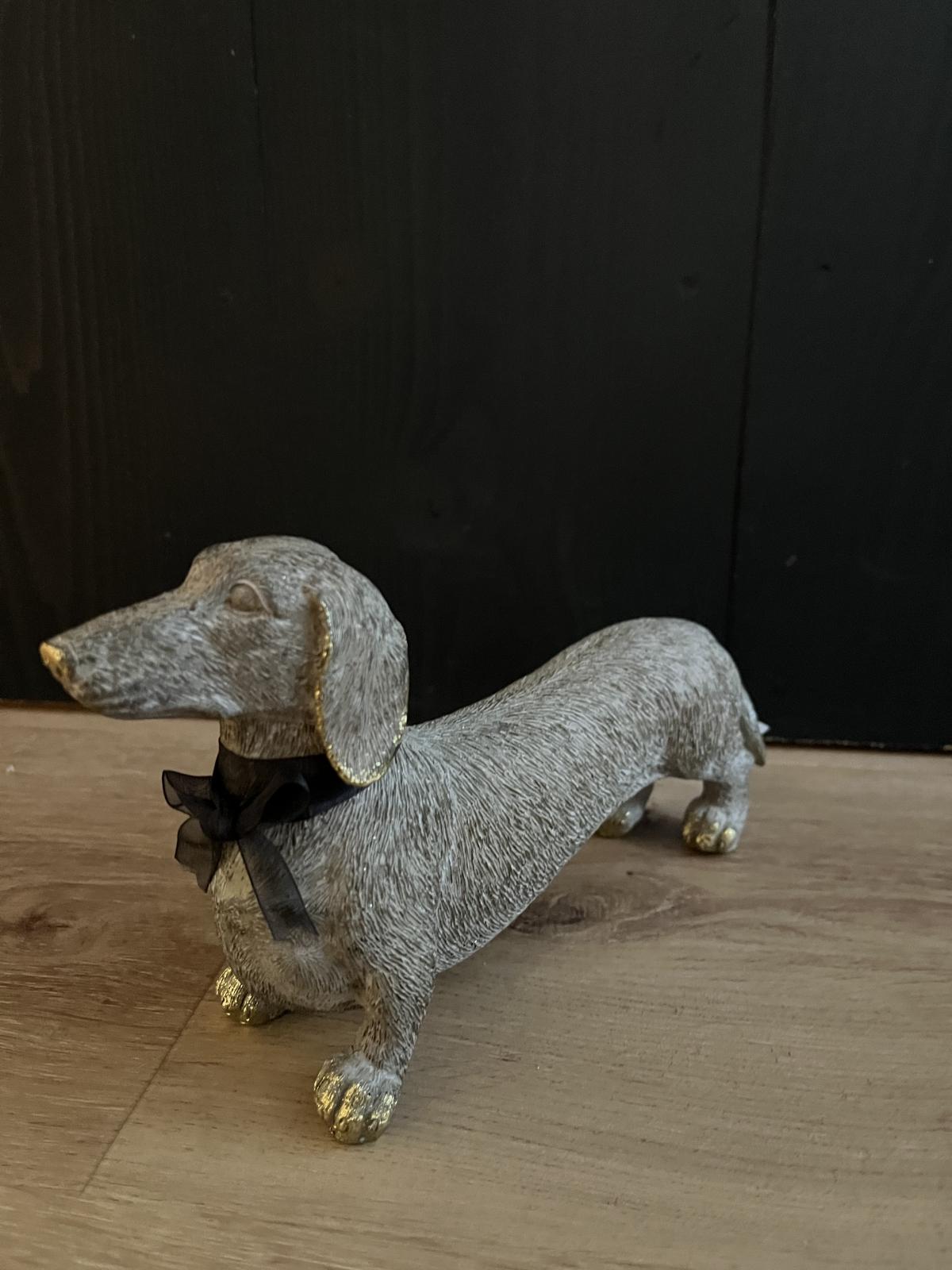 Teckel Thimo grijsbruin