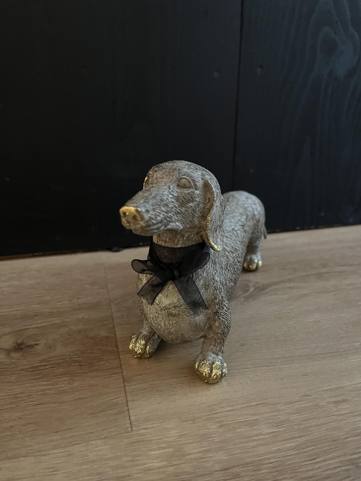 Teckel Thimo grijsbruin
