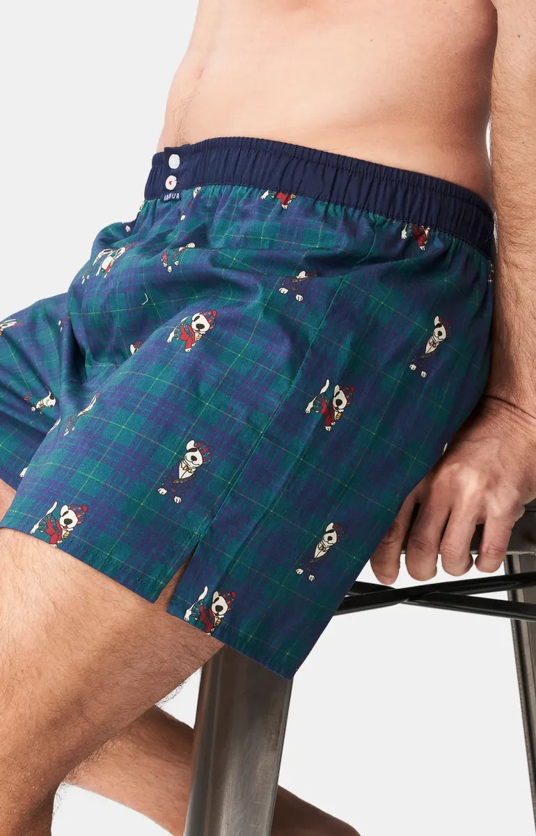 Arthur- Calecon Slip Heren Groen met hond
