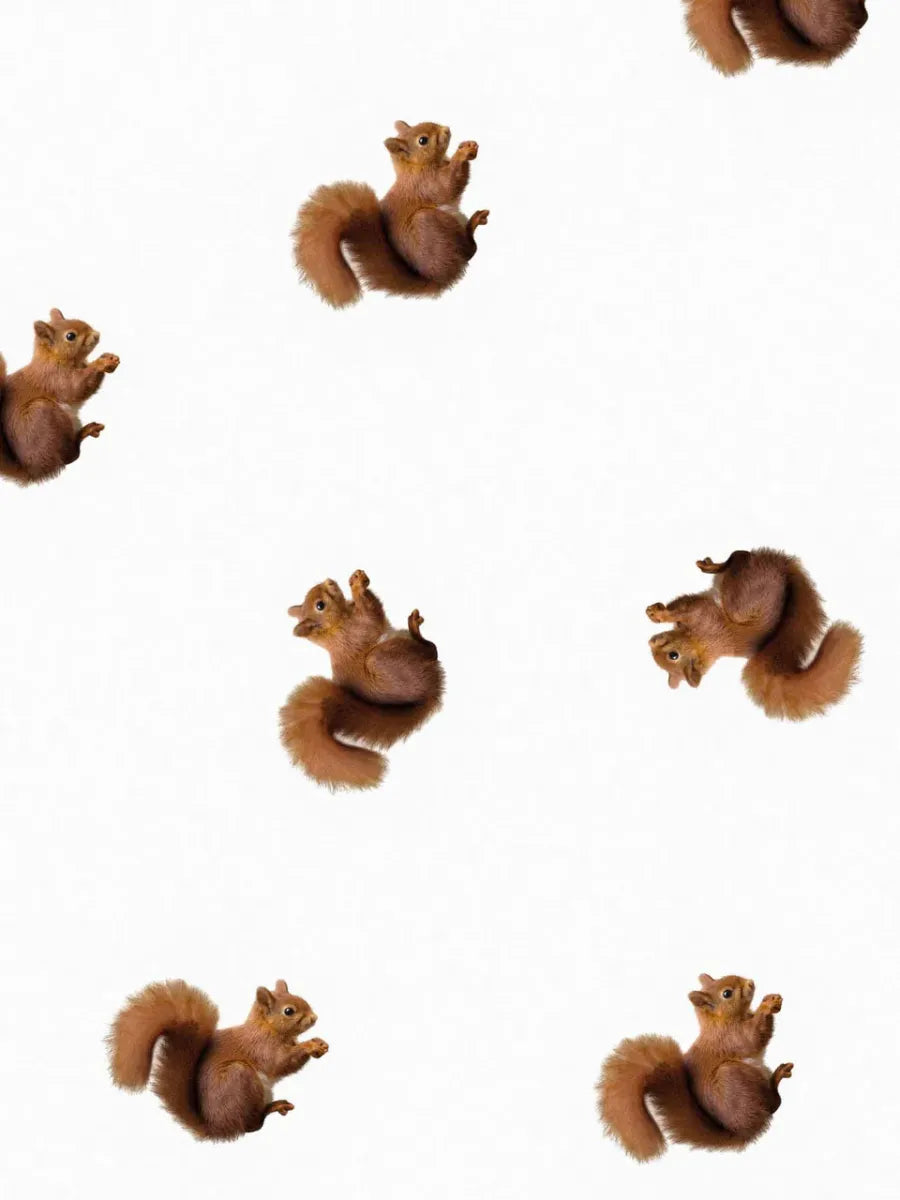 Squirrels Jumpsuit Babies