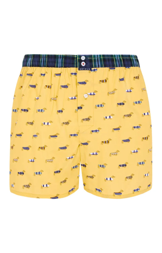 Arthur- Calecon Slip Heren Geel Teckel