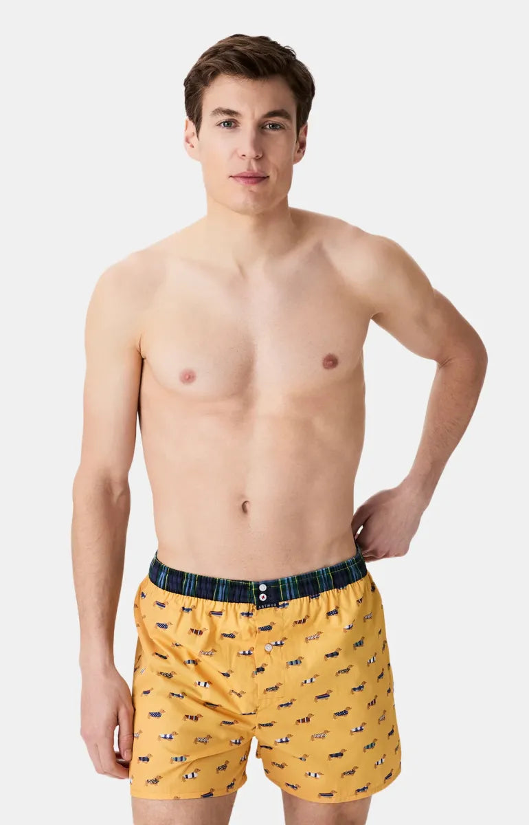Arthur- Calecon Slip Heren Geel Teckel