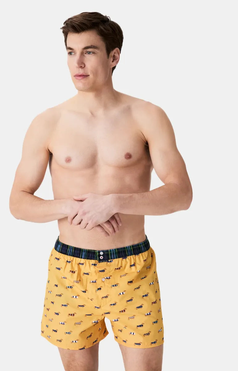 Arthur- Calecon Slip Heren Geel Teckel