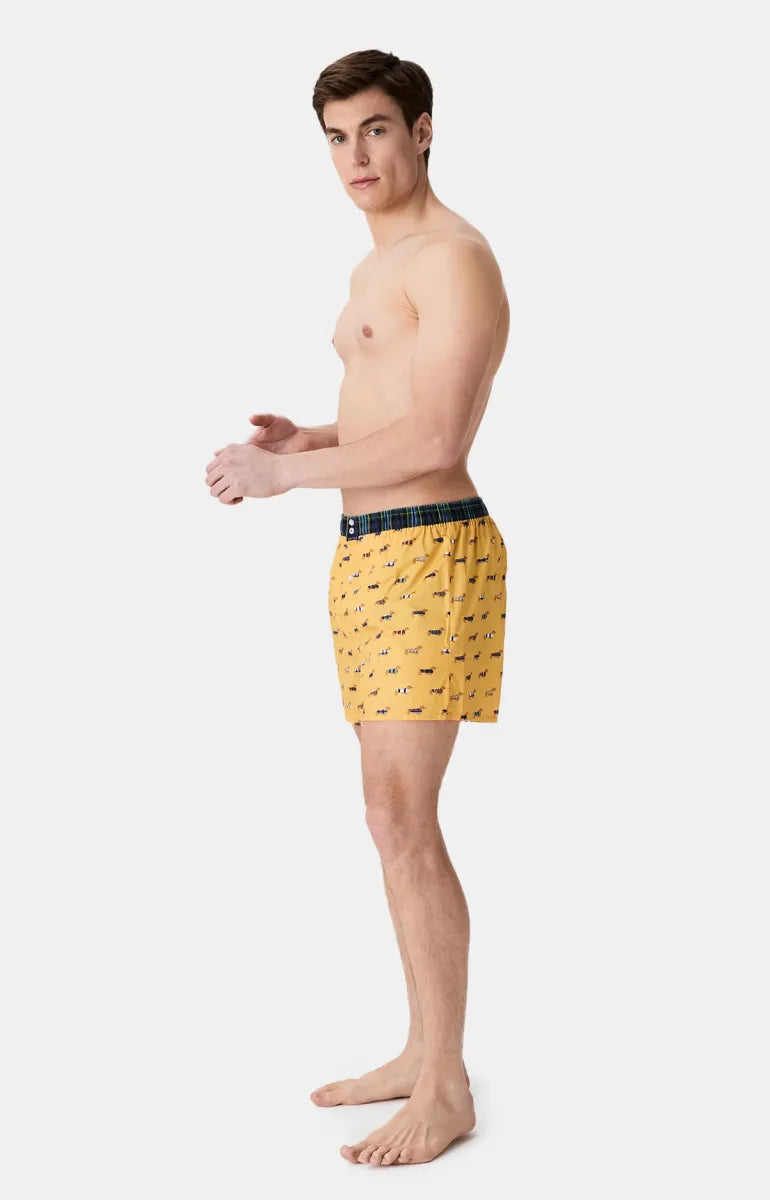 Arthur- Calecon Slip Heren Geel Teckel