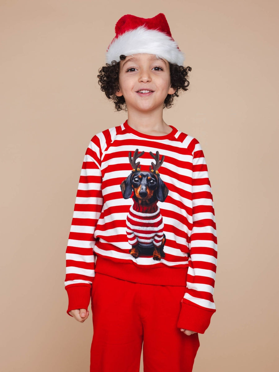 Pierre Xmas Sweater Unisex Kids