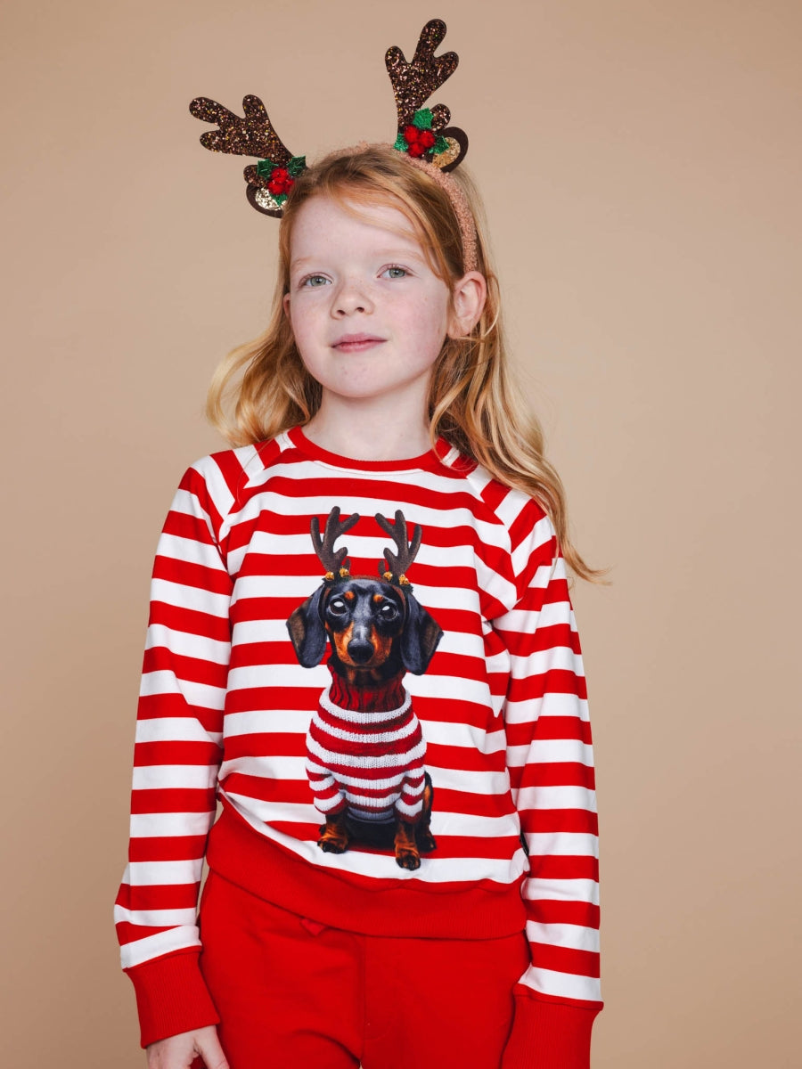 Pierre Xmas Sweater Unisex Kids