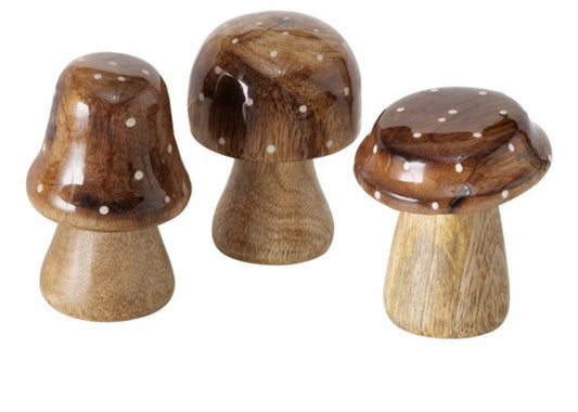 Boltze- Paddestoel Clozzy H7 cm