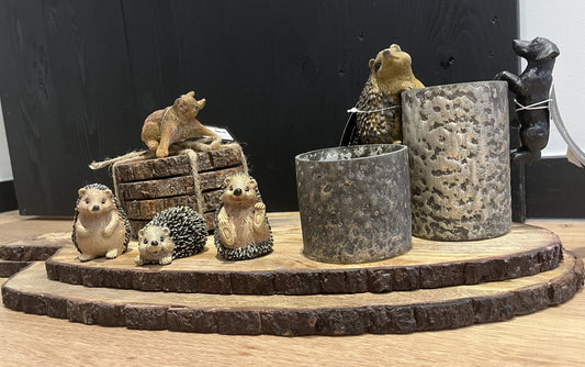 Egel 3 soorten 6 cm