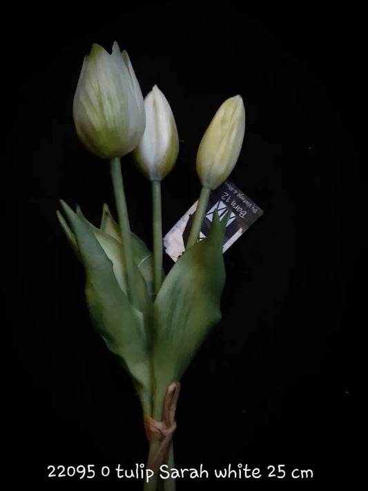 Mini Tulp Wit Sarah