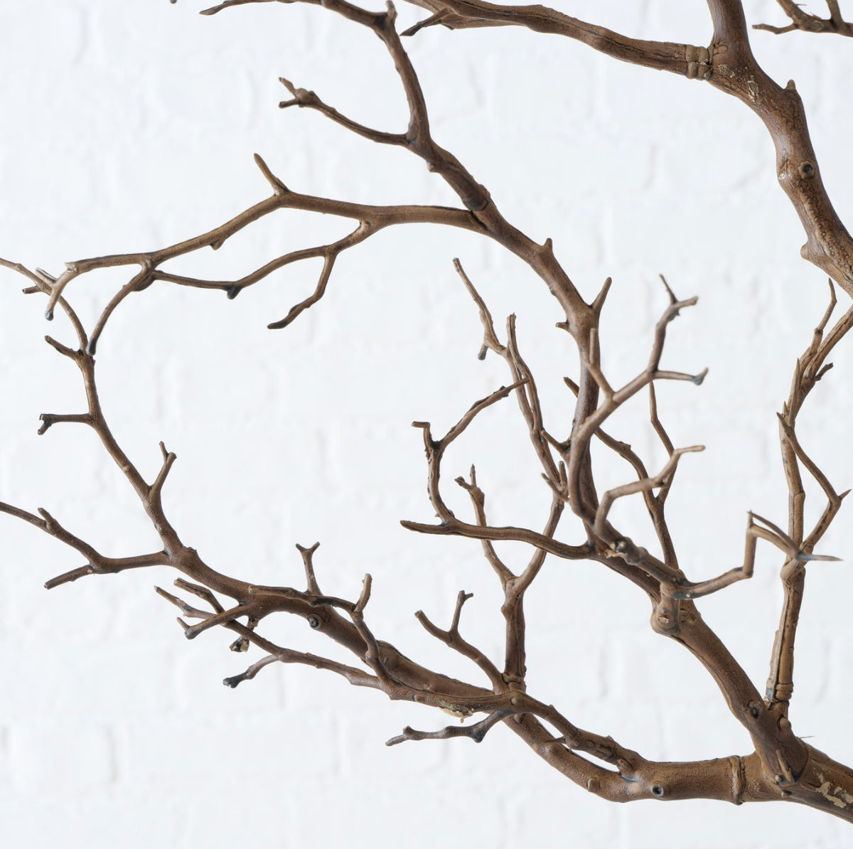 Boltze  - Decoratieve Tak Naturel