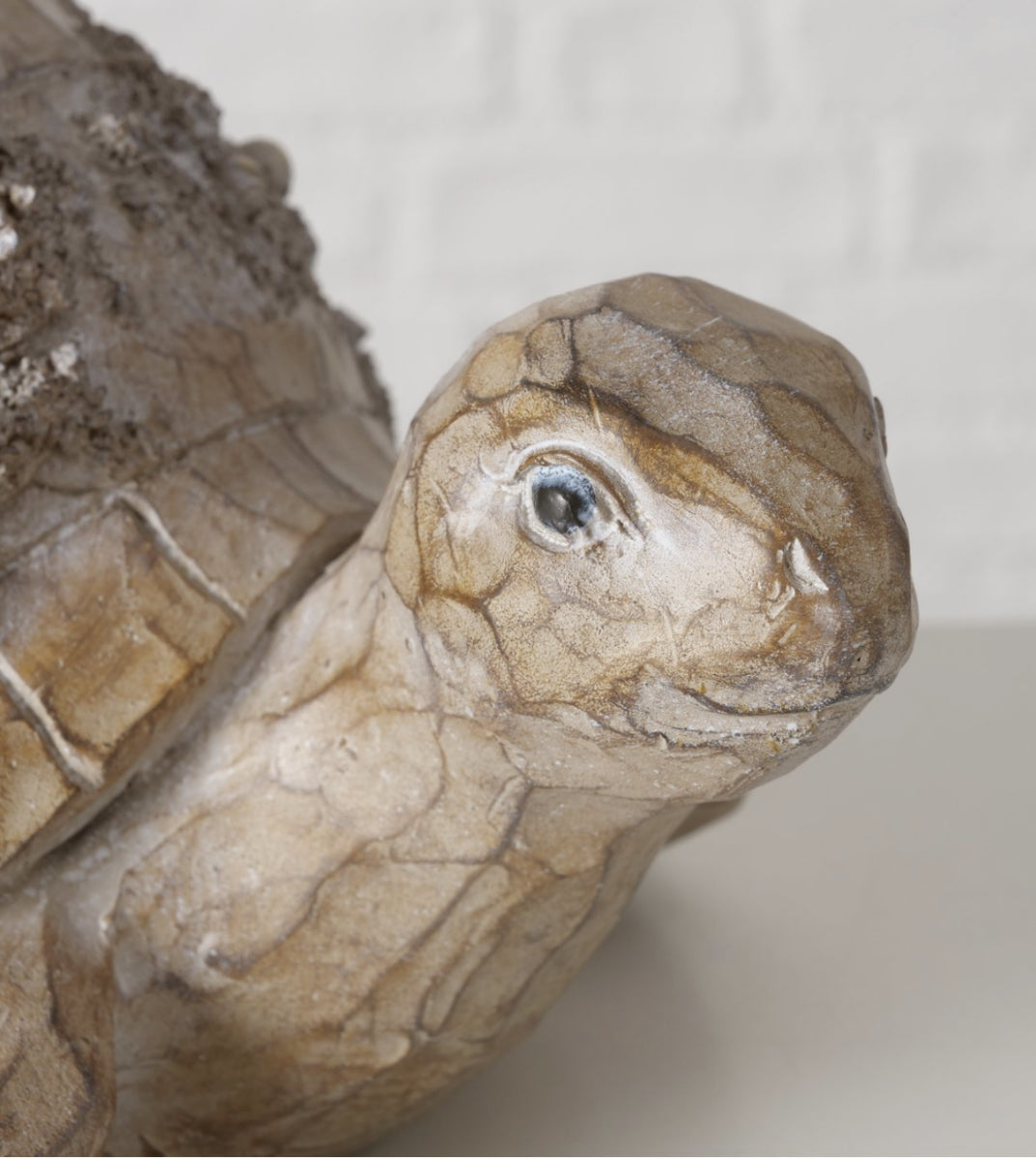 Boltze- Figuur Elysia Schildpad H11,5cm