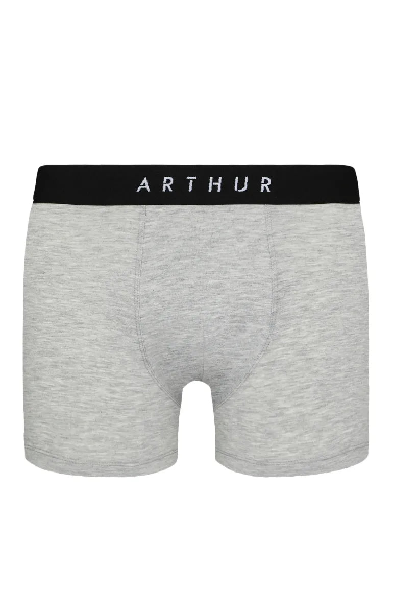 Arthur- Boxershort Heren Grijs