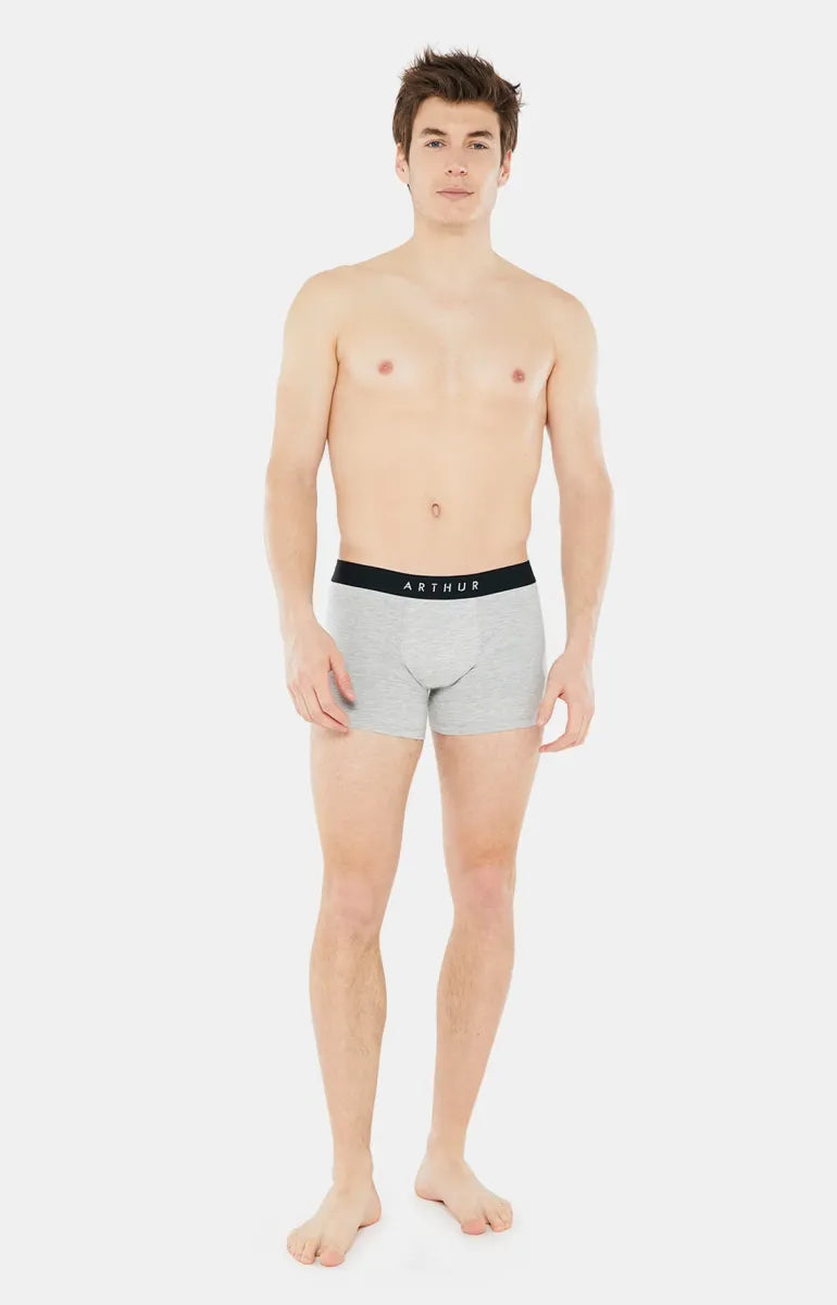 Arthur- Boxershort Heren Grijs