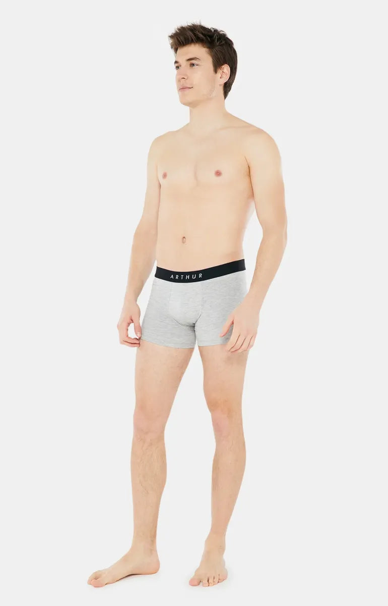 Arthur- Boxershort Heren Grijs