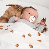 FURRY FRIENDS BABY LEDIKANT LAKEN SET