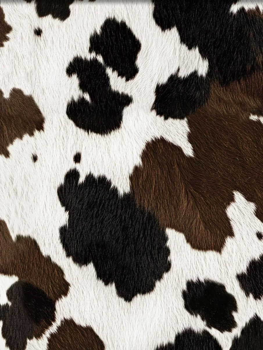 Cow T-Shirt & Shorts set Men