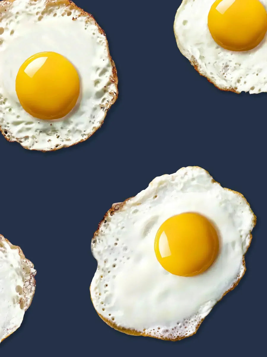 Eggs Navy Jurkje korte mouwen Kids